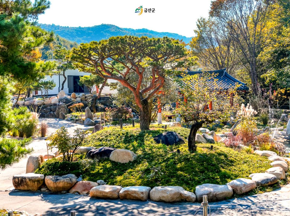 카페 정원 - 소나무와 산 풍경