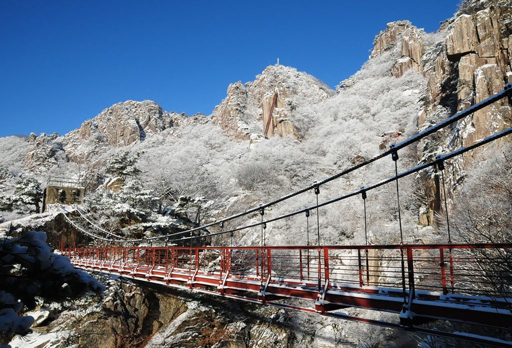 대둔산 - 겨울 눈꽃 출렁다리