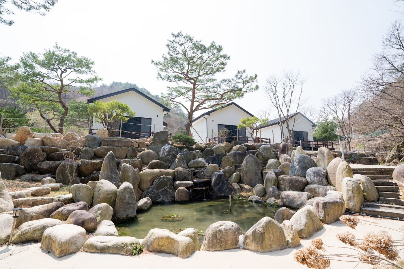 정원 연못과 소나무 풍경